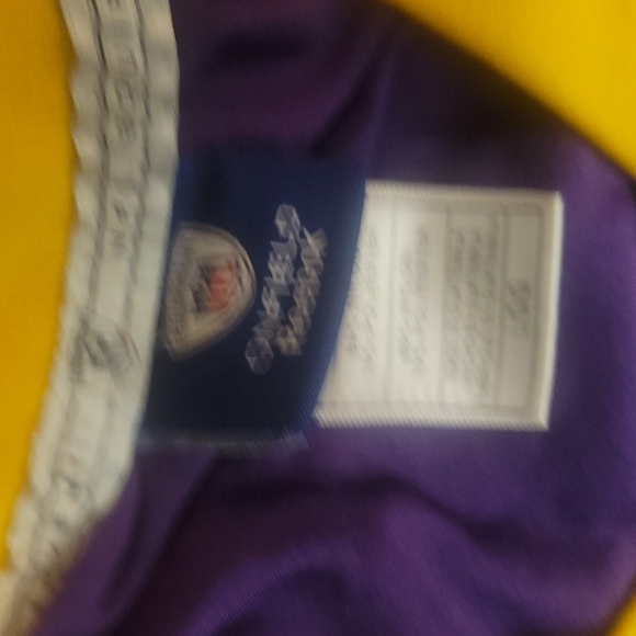 Autentic OFFICAL BRETT FAVRE VIKINGS JERSEY - Picture 3 of 5